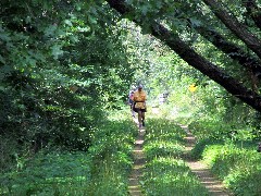 Judy Geisler; IAT; Sugar River State Recreation Trail, WI